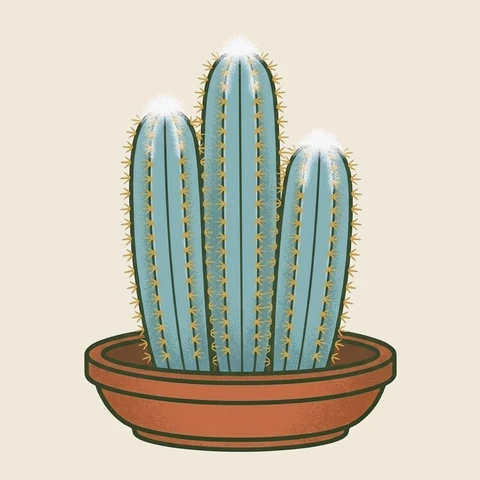Illustration of a blue columnar cactus in a terracotta bowl